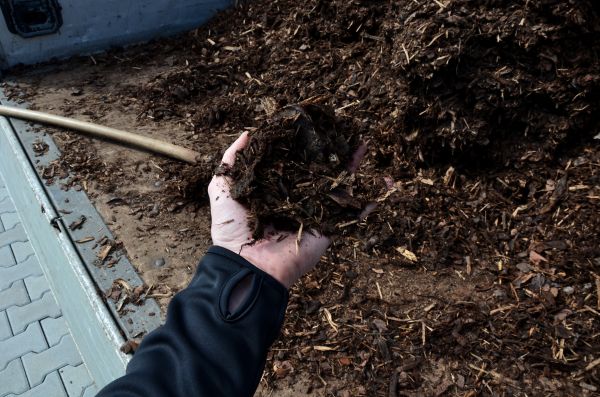 Condo Mulching in West Des Moines