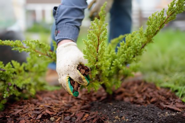 Church Mulching in West Des Moines