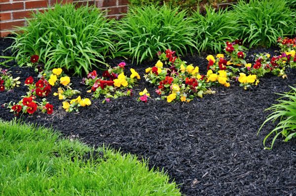 Apartment Mulching in West Des Moines