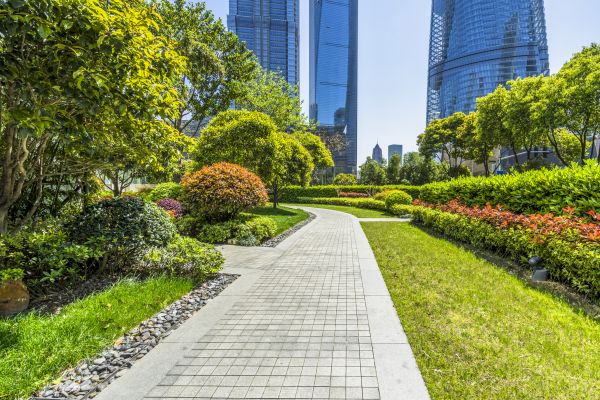 Commercial Landscaping in West Des Moines