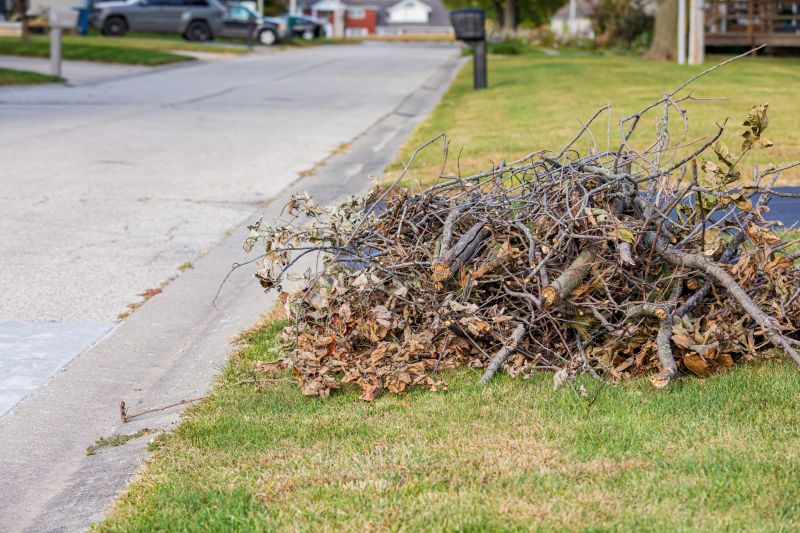 Benefits of Regular Leaf Clearing