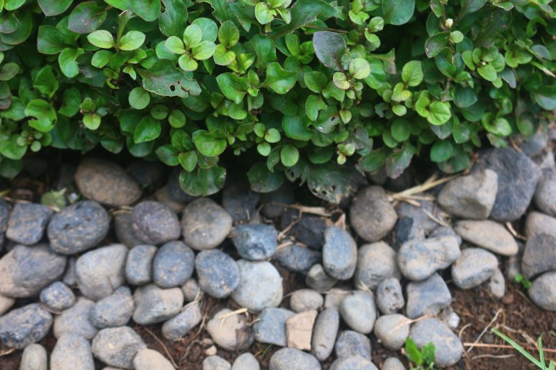 River Rock Landscaping