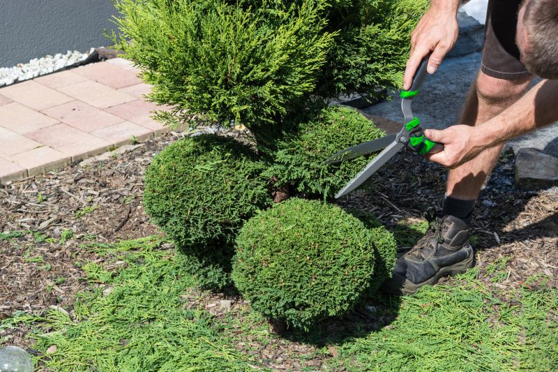 Shrub Care Service